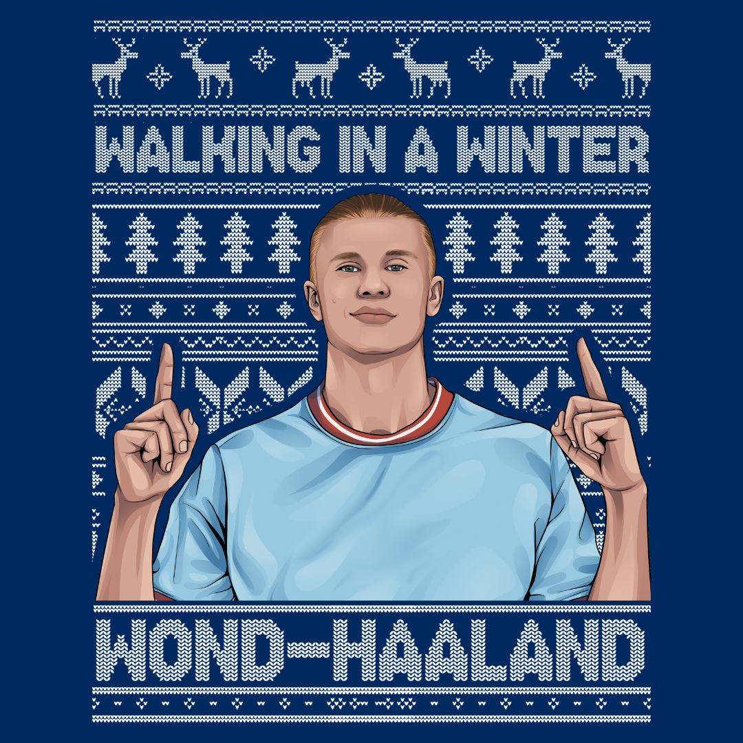 Walking in a Winter Wondhaaland - Sweater
