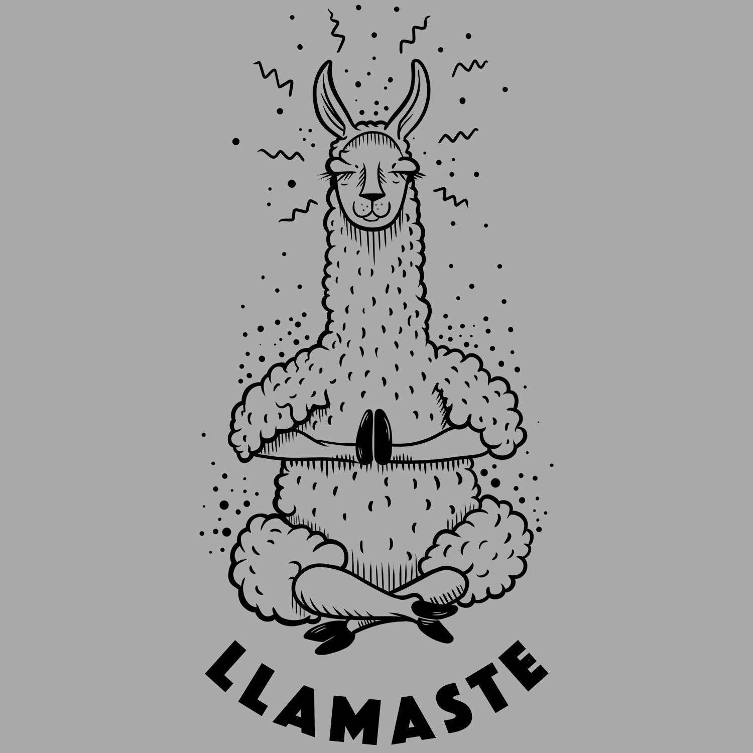 Llamaste T Shirt