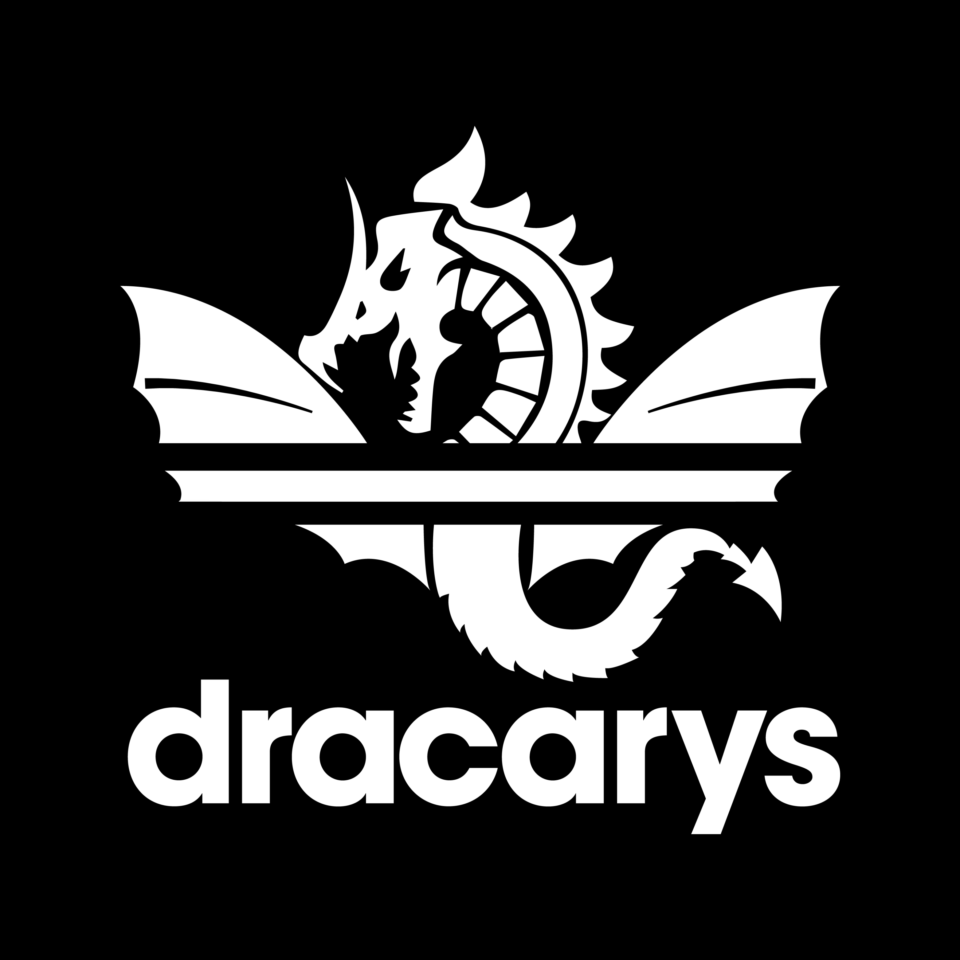 Dracarys T Shirt