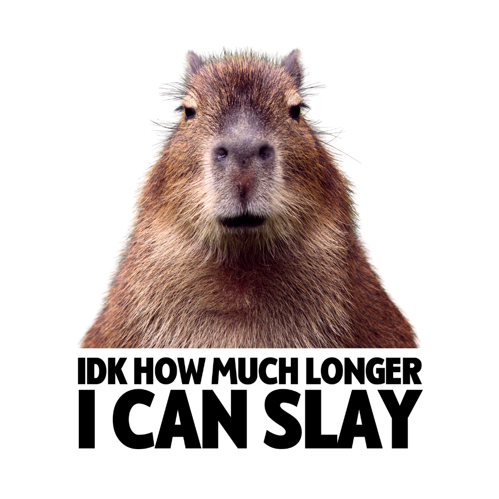 Capybara Slay T Shirt