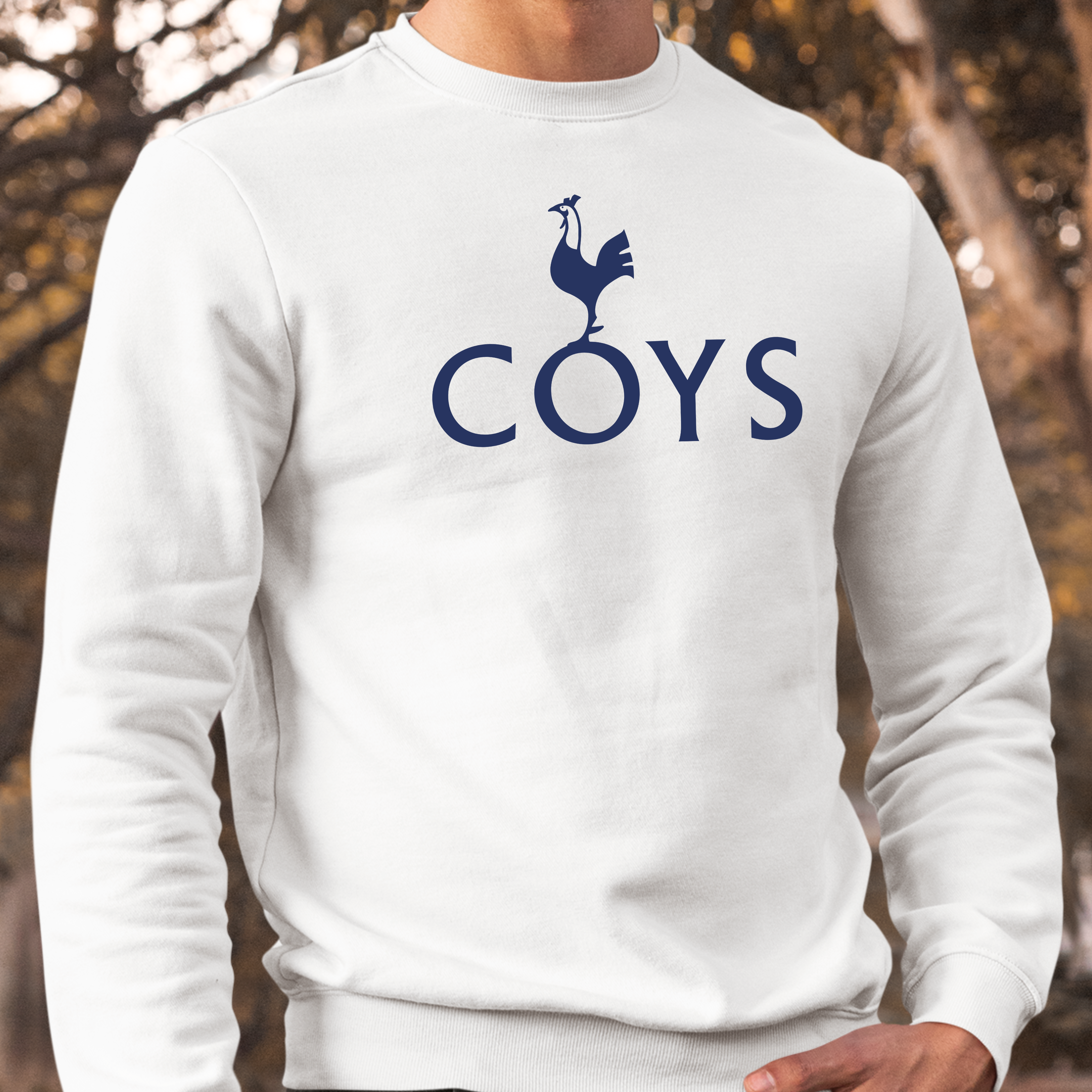 COYS COCKEREL