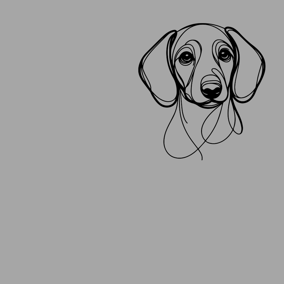 DACHSHUND LINE ART T Shirt