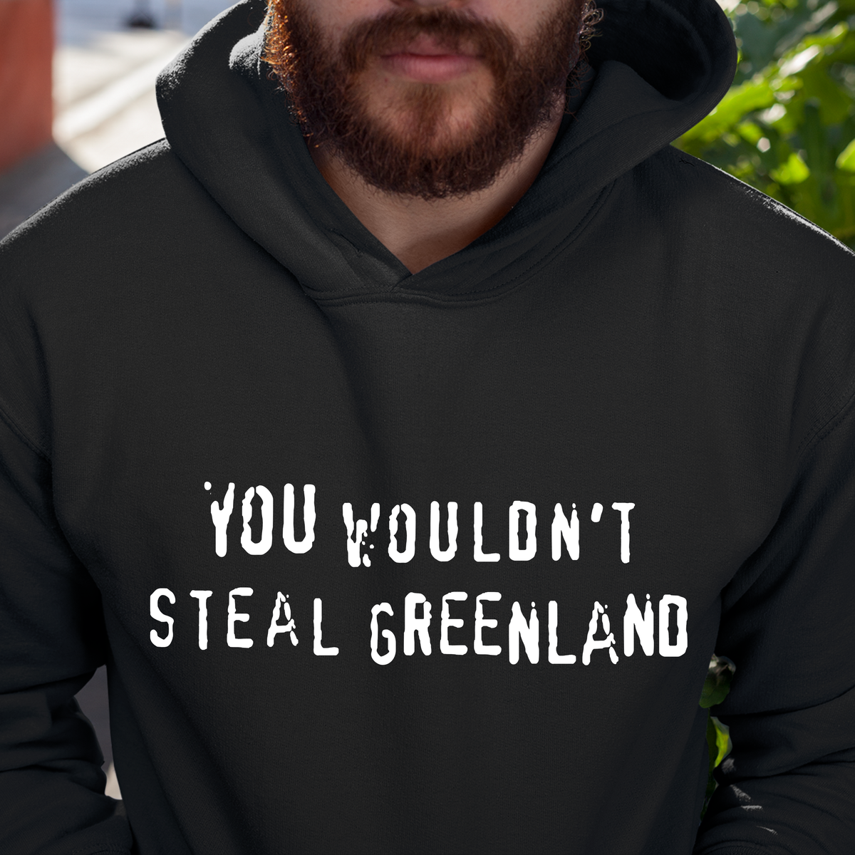 YOU WOULDN'T STEAL GREENLAND