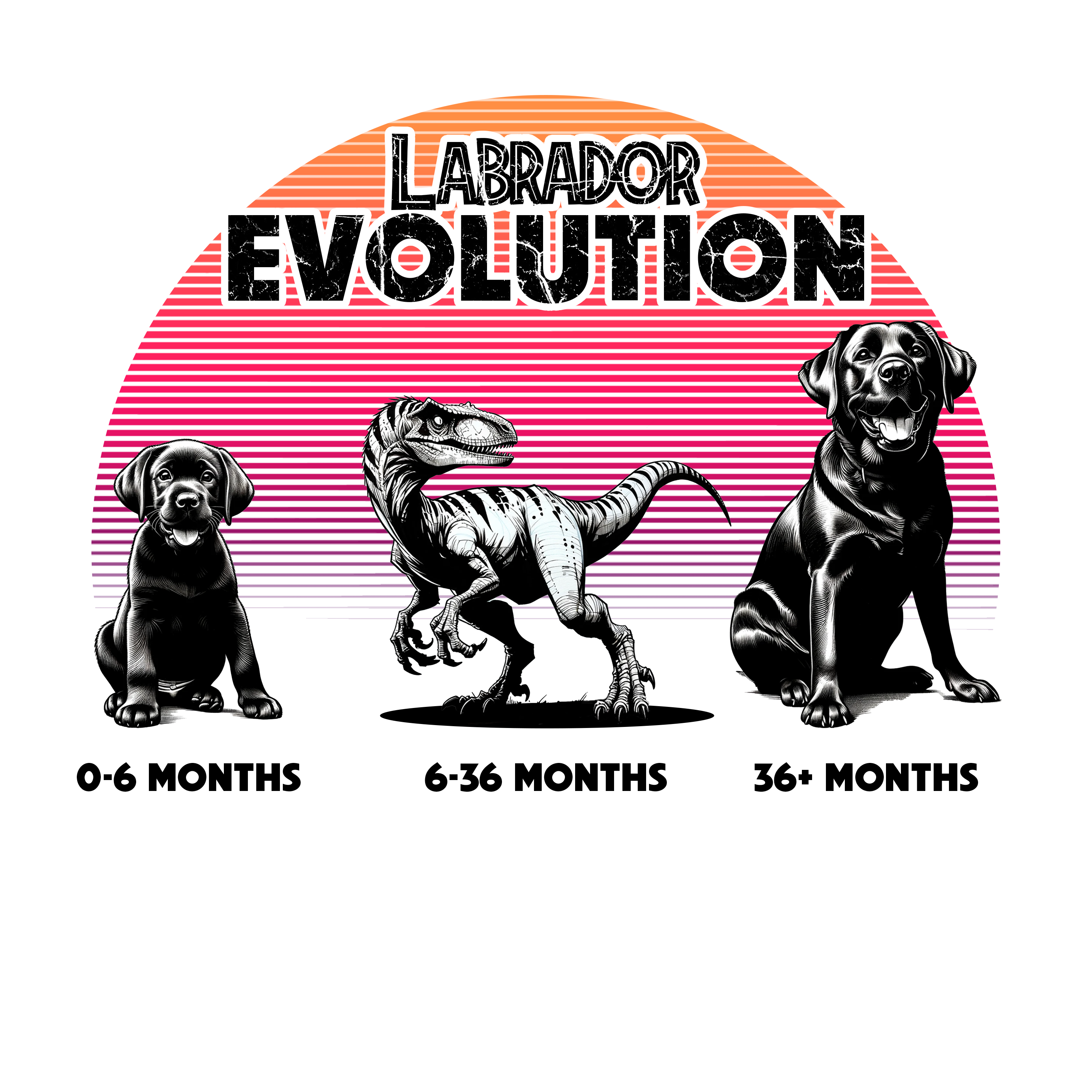 LABRADOR EVOLUTION T Shirt