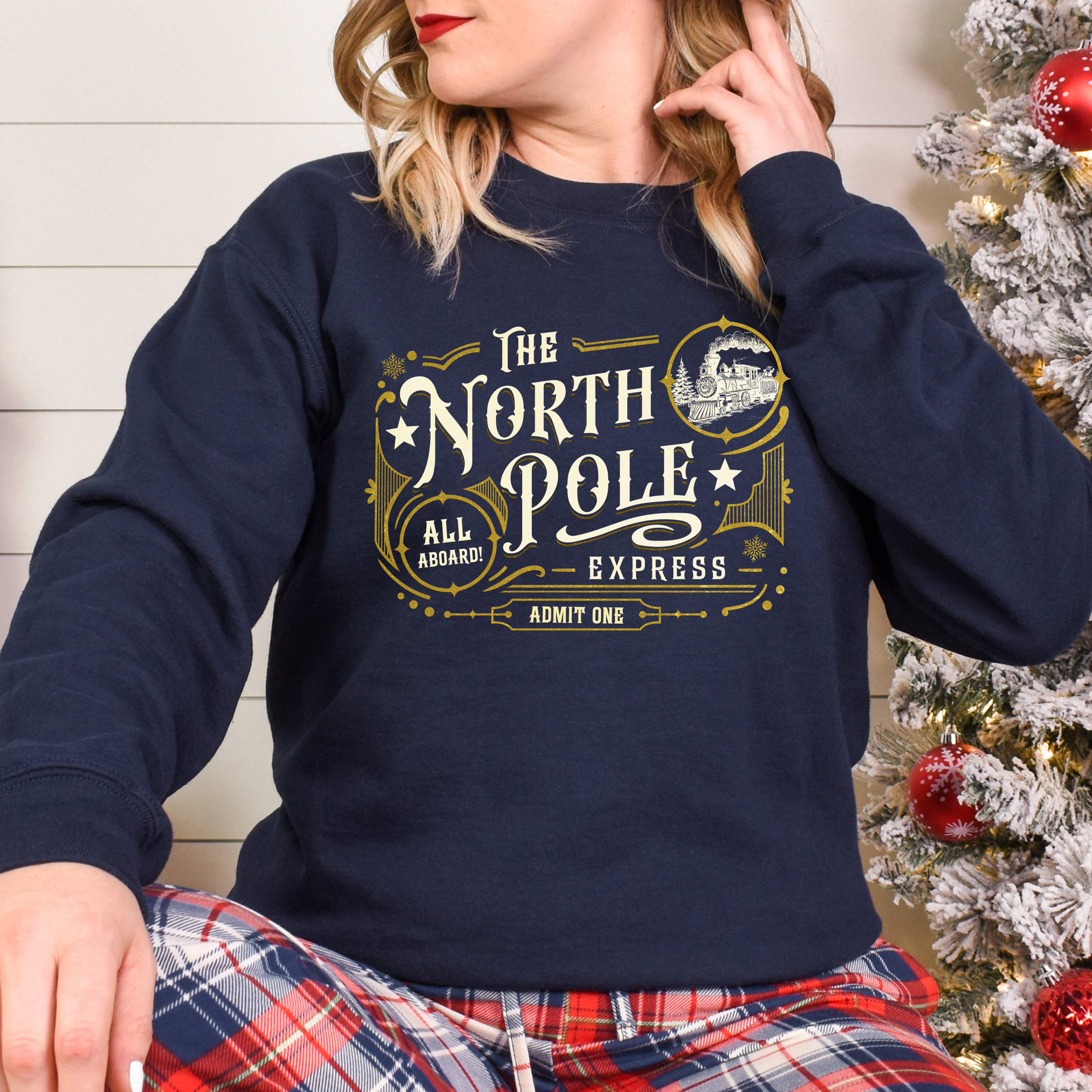 THE NORTH POLE EXPRESS