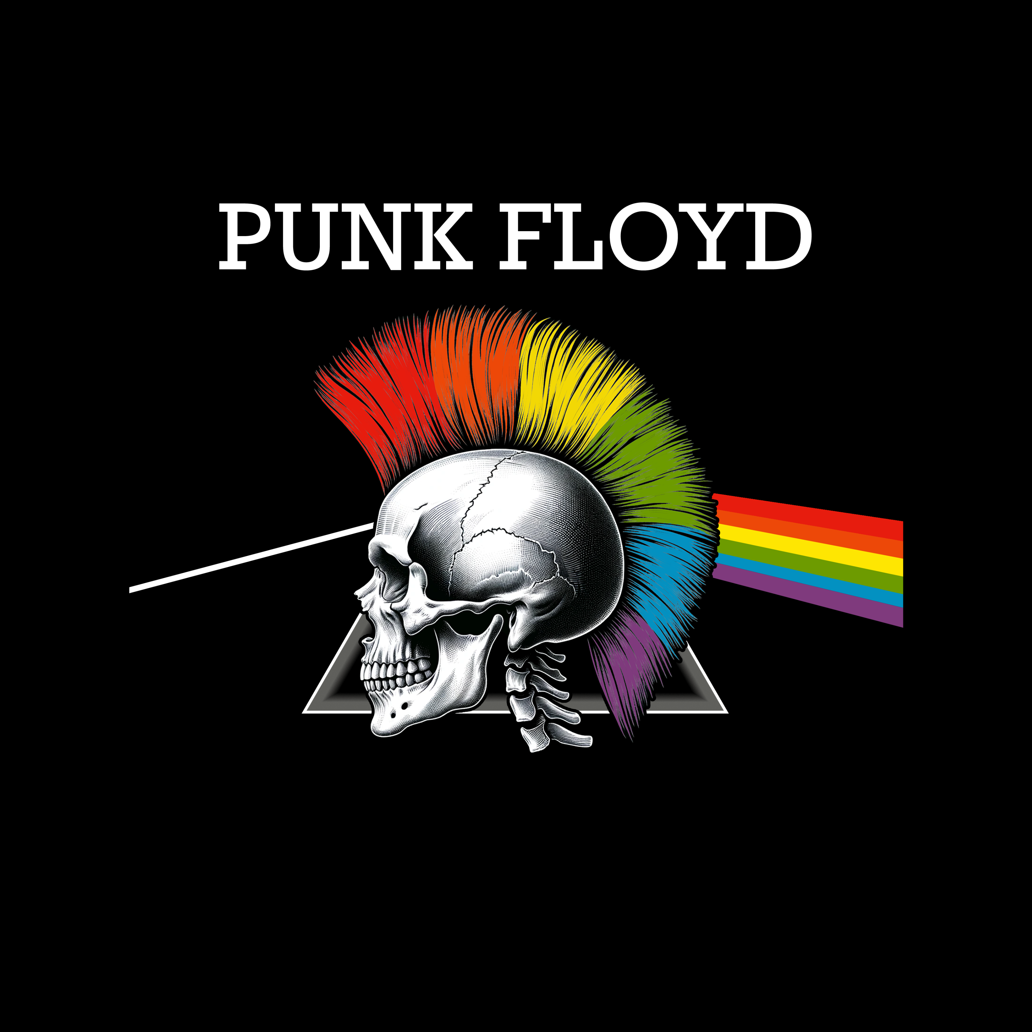 PUNK FLOYD T Shirt