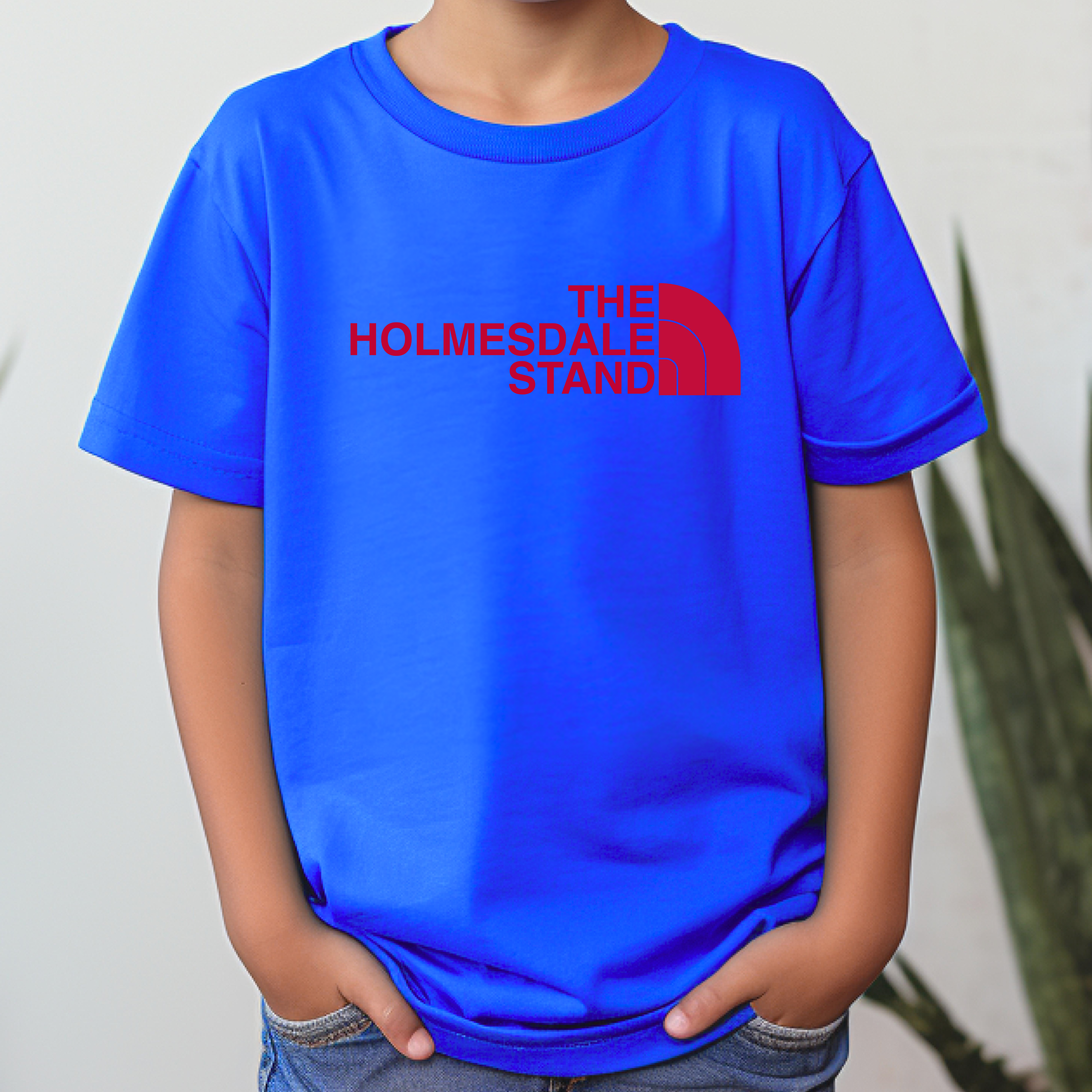 THE HOLMESDALE STAND  
