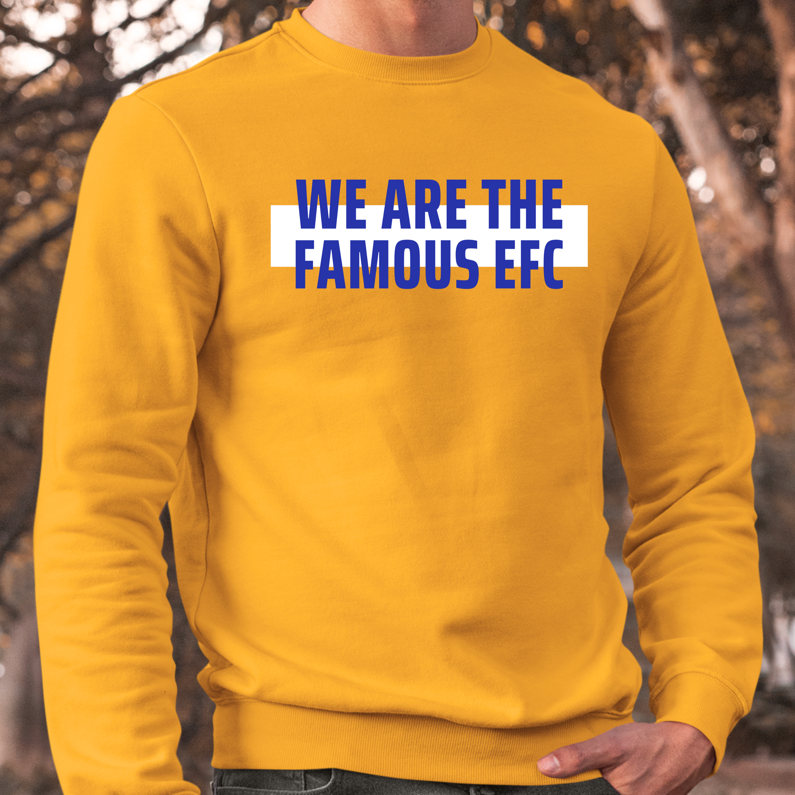 WE ARE THE FAMOUS EFC