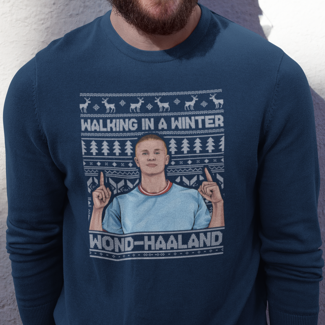 Walking in a Winter Wondhaaland - Sweater