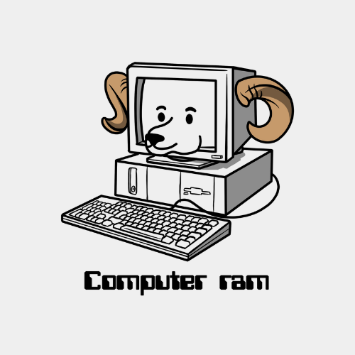 Computer Ram Hoodie