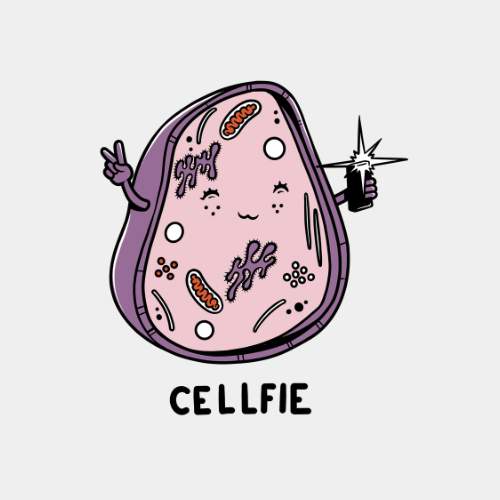 Cellfie Hoodie